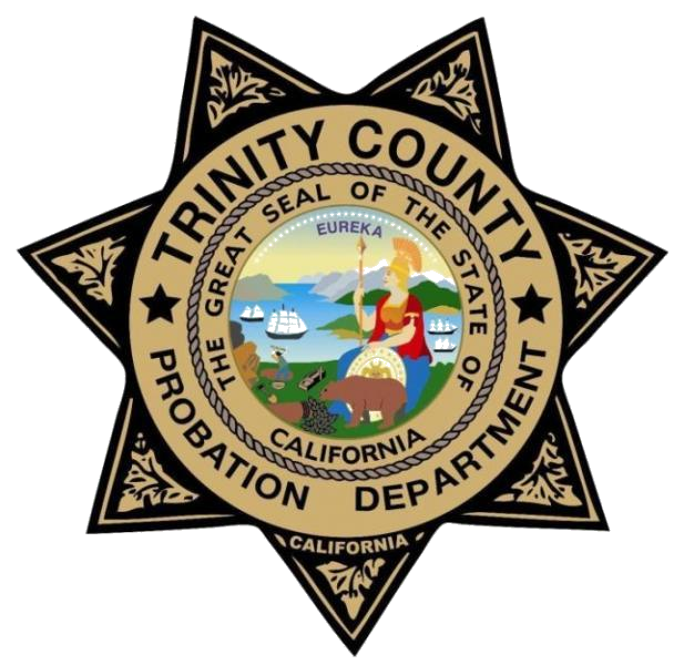 Trinity County Probation Department Badge 